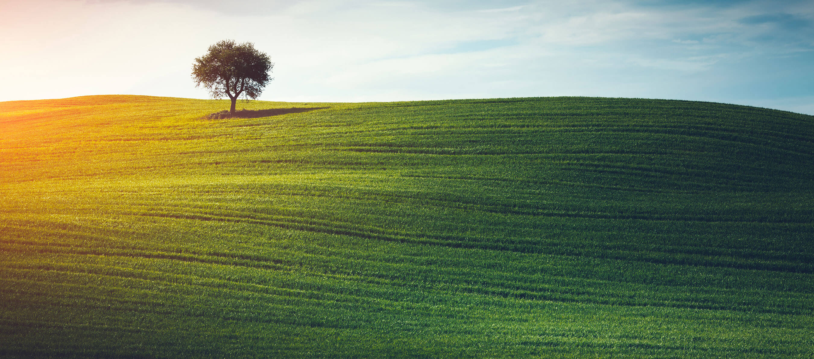 My background and qualifications.